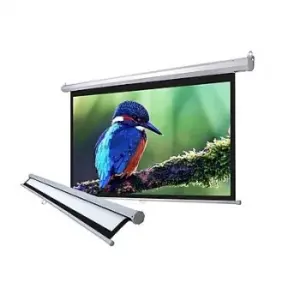 Màn chiếu treo tường Dalite 80 Inch - Mã P80WS