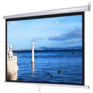 Màn chiếu điện điều khiển Dalite 60 Inch - Mã P60ES