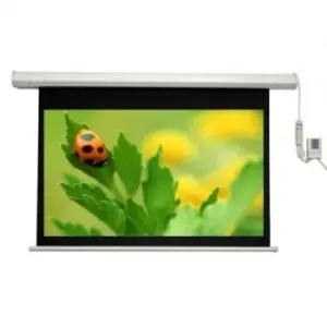 Màn chiếu điện điều khiển Dalite 200 Inch - Mã PW200ES